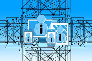 九游娱乐入口-中国青少年篮球发展政策实施与推广策略，青少年篮球发展现状及对策研究